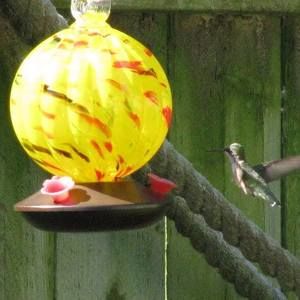 Meet your Posher, Jane